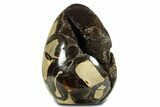 Polished Dragon Egg Septarian Geode - Free-Standing #344449-1